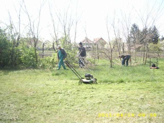 Takarítás 2011