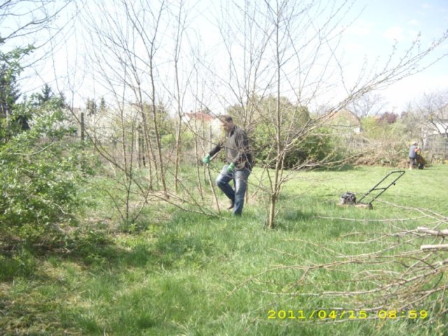 Takarítás 2011
