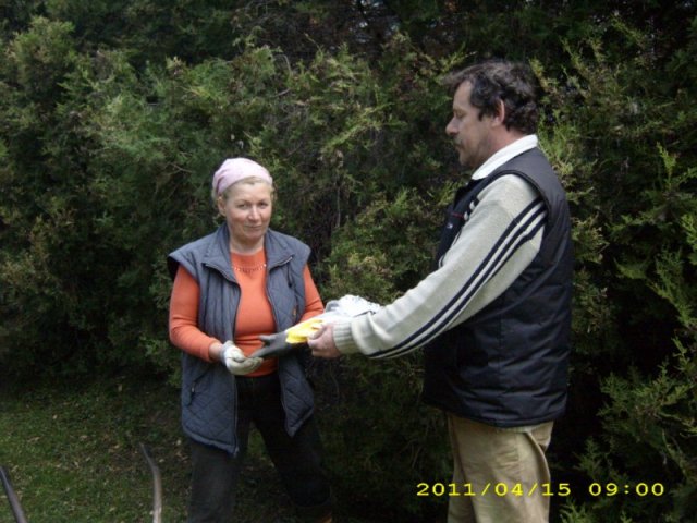 Takarítás 2011