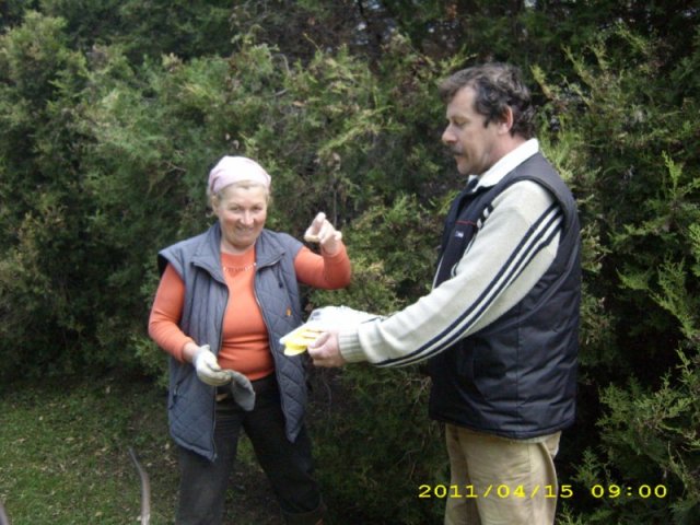 Takarítás 2011