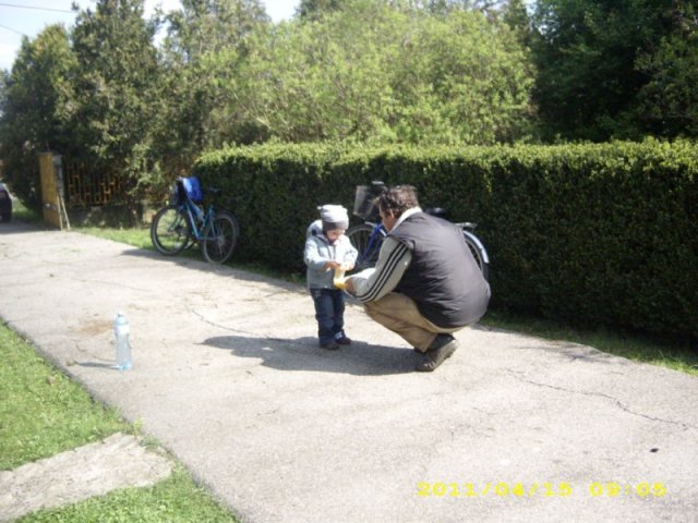 Takarítás 2011
