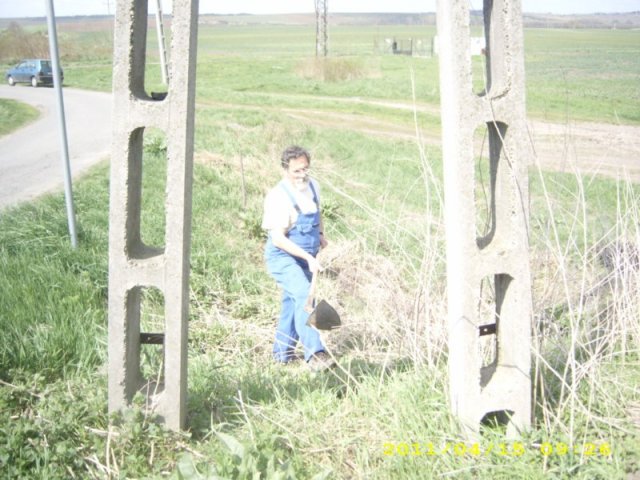 Takarítás 2011