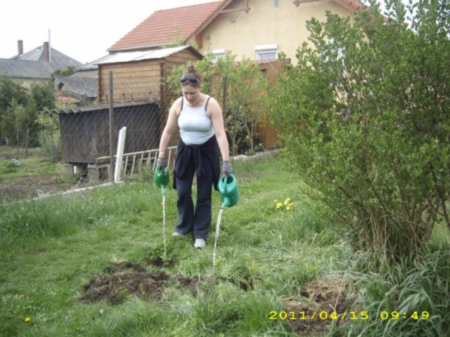 Takarítás 2011