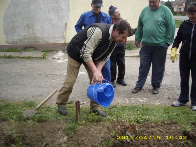 Takarítás 2011