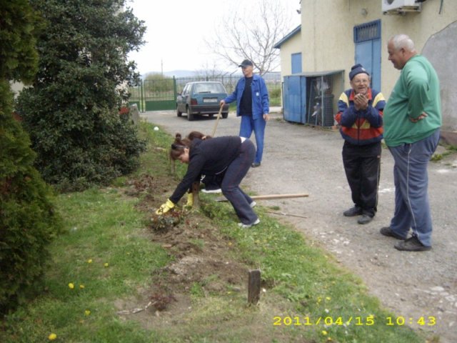 Takarítás 2011