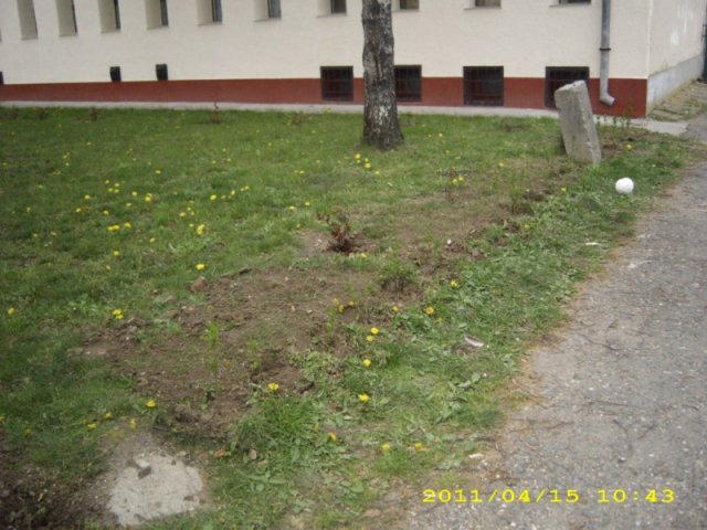 Takarítás 2011