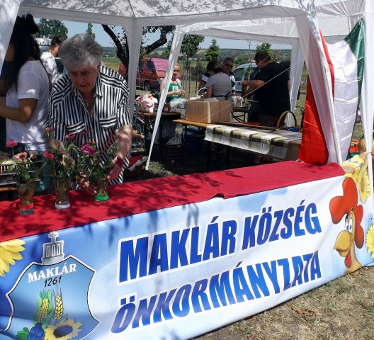 Gulyásfesztivál 2015