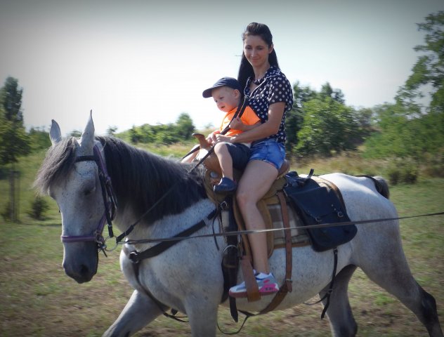 Gulyásfesztivál 2015