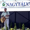 Gulyásfesztivál 2015