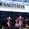 Gulyásfesztivál 2015
