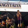 Gulyásfesztivál 2015