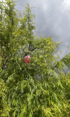 20160603_152454