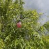 20160603_152454