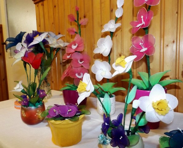 dscf0161
