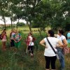 Szabadidős foglalkozások gyerekeknek 2015