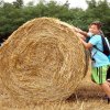Szabadidős foglalkozások gyerekeknek 2015