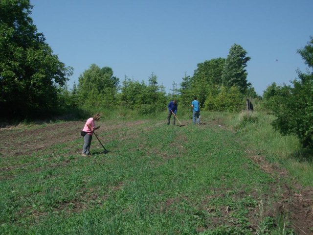 dscf3786