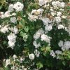 dscf3777