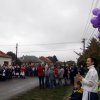 Szüreti Felvonulás