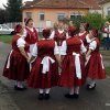Szüreti Felvonulás