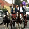 Szüreti Felvonulás