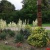 20160613_131049